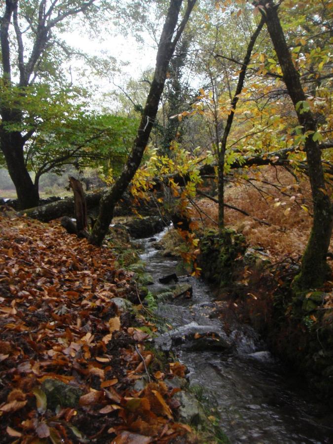 Chez Louise: Onde A Serra Beija O Ceu Lousã Dış mekan fotoğraf