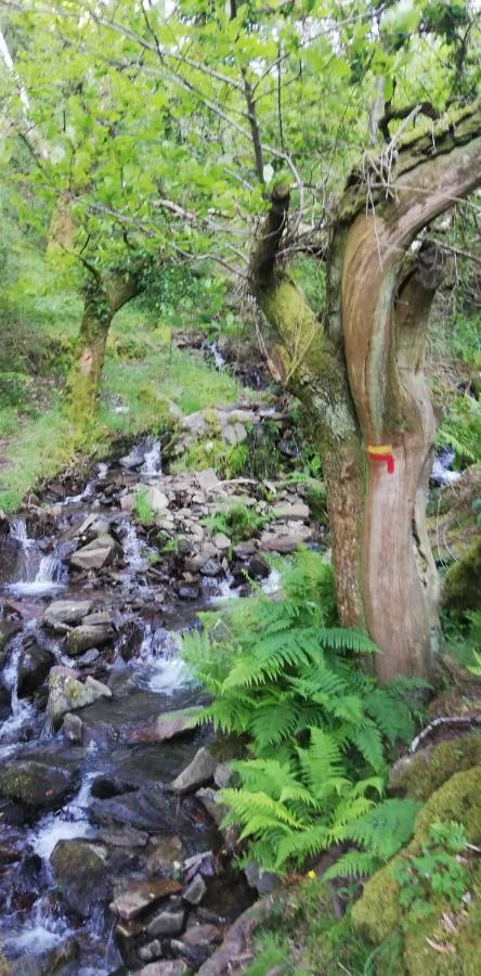Chez Louise: Onde A Serra Beija O Ceu Lousã Dış mekan fotoğraf