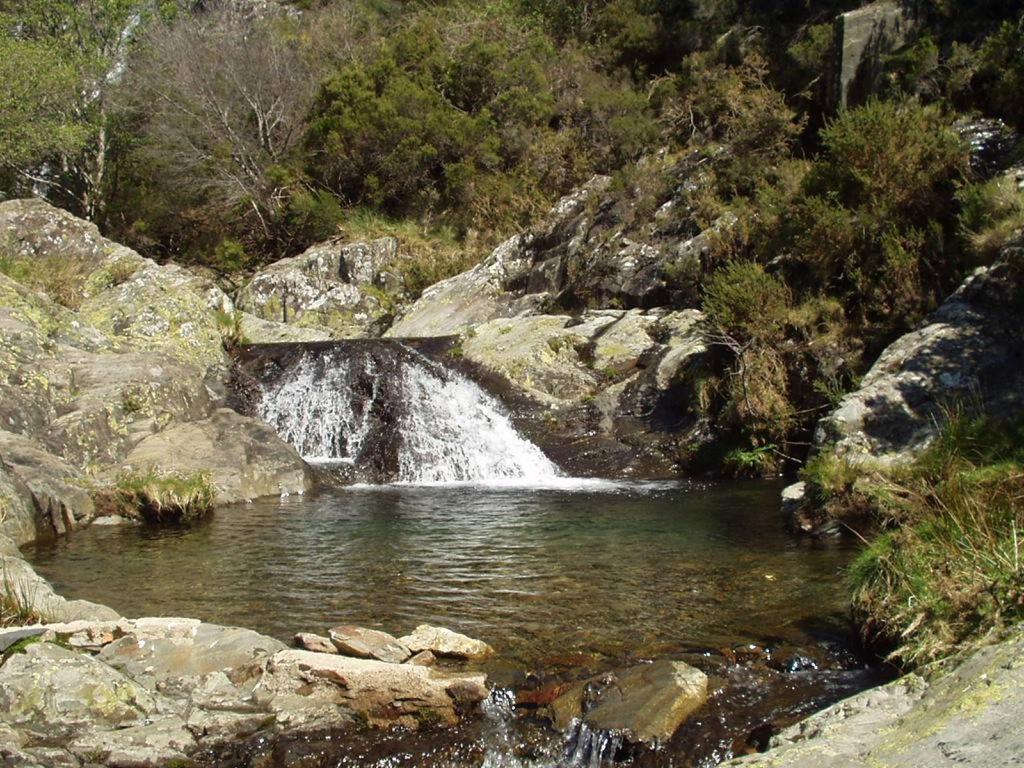 Chez Louise: Onde A Serra Beija O Ceu Lousã Dış mekan fotoğraf