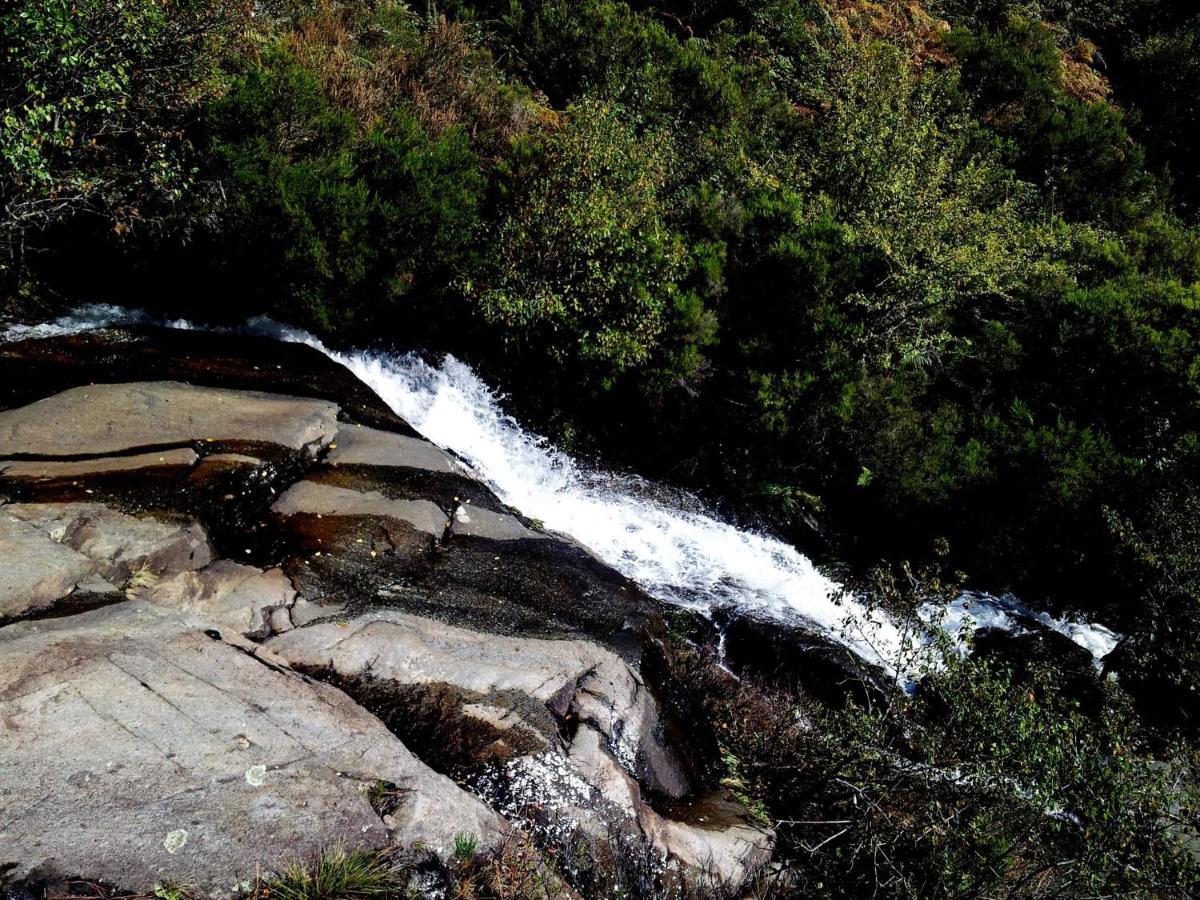 Chez Louise: Onde A Serra Beija O Ceu Lousã Dış mekan fotoğraf