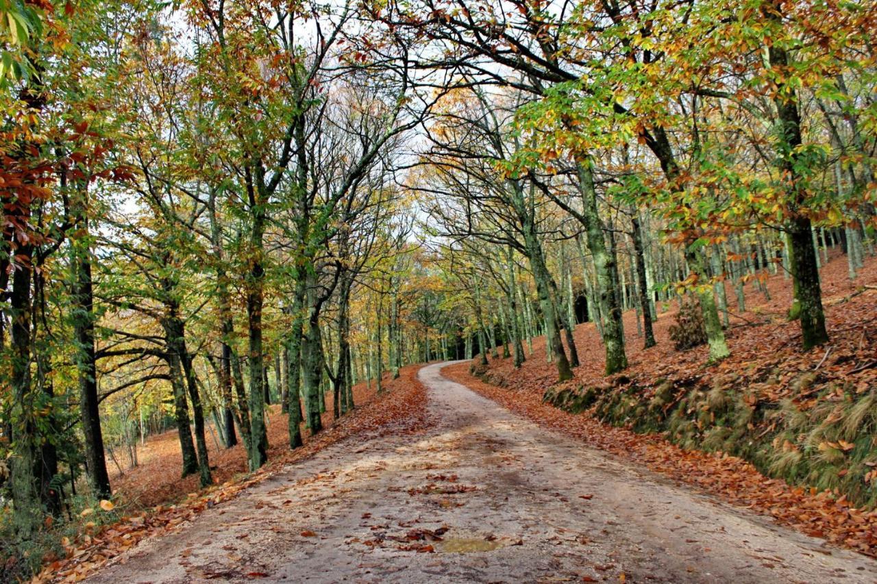 Chez Louise: Onde A Serra Beija O Ceu Lousã Dış mekan fotoğraf