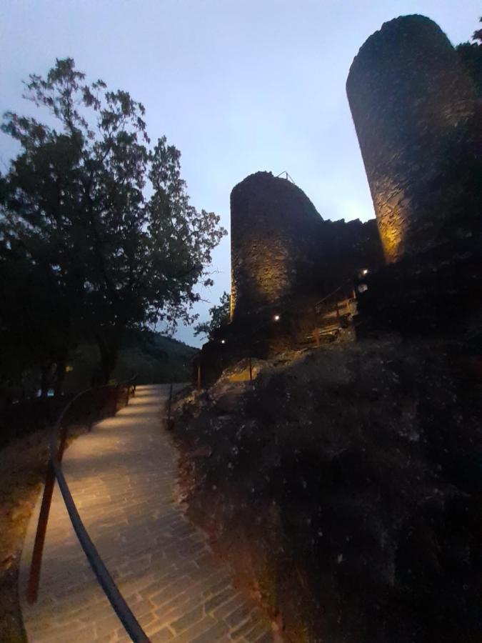 Chez Louise: Onde A Serra Beija O Ceu Lousã Dış mekan fotoğraf